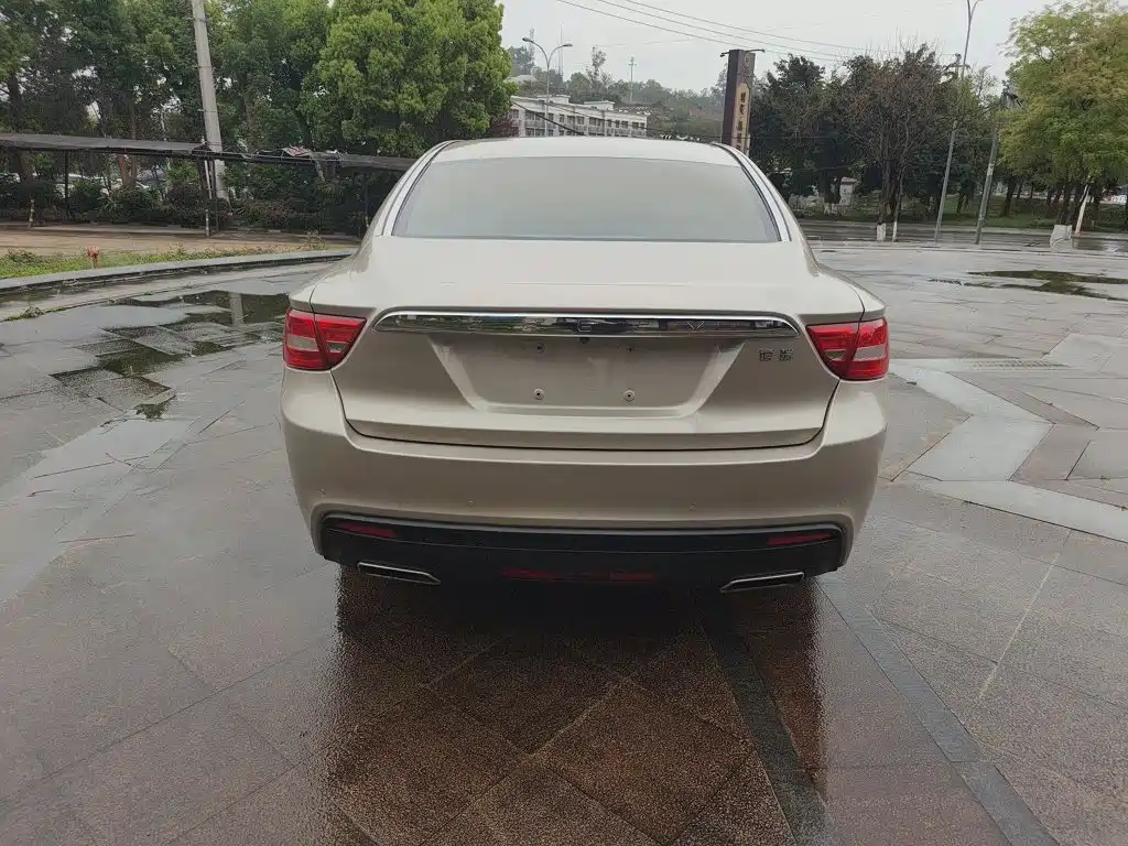 Фото 6 - Geely Borui