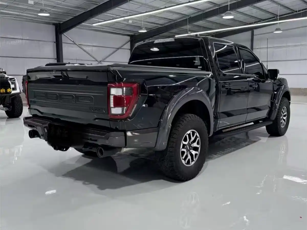 FORD F-150 RAPTOR