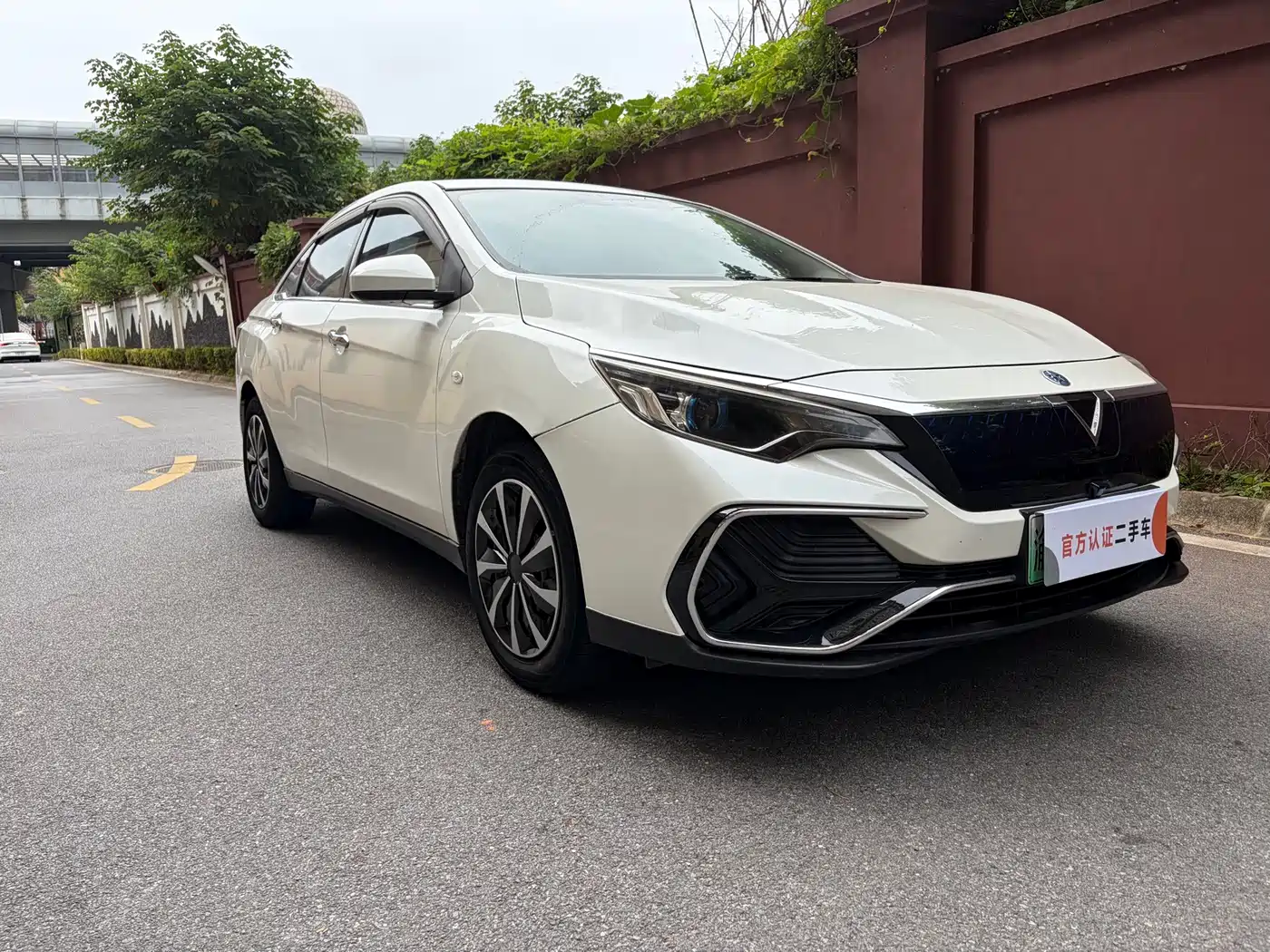 Venucia D60EV 2020 2020 Standard Range Premium Edition
