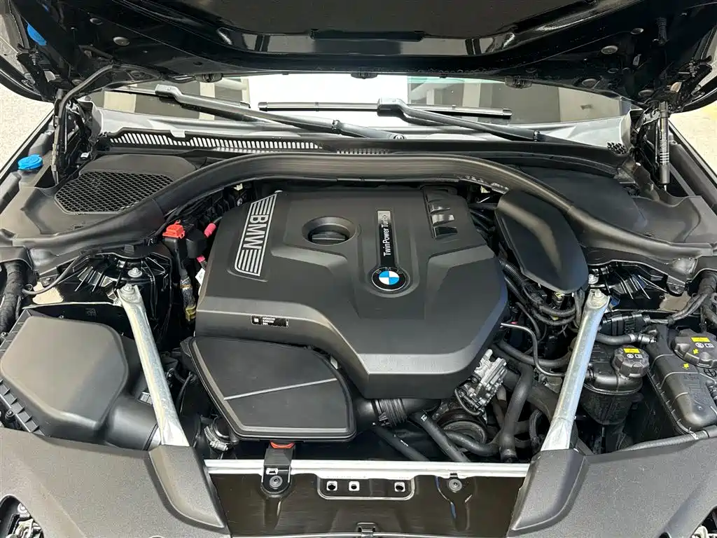 BMW 5 Series 2020 530Li xDrive Luxury Package фото 7
