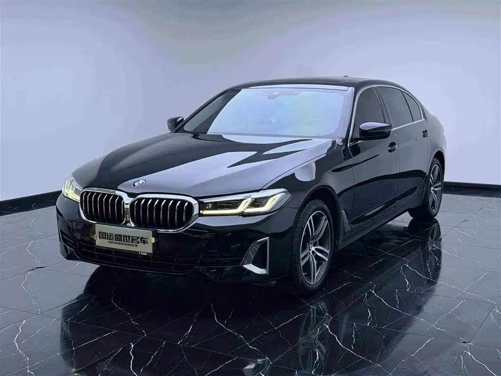 BMW 5 Series 2021 530Li Leading Luxury Package