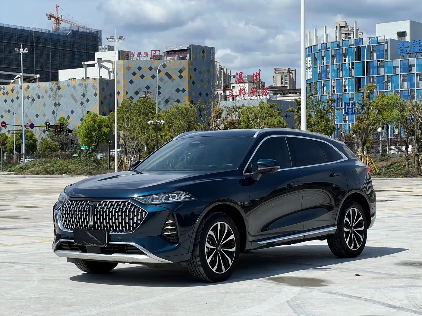 WEI PAI WEI BRAND MOCHA