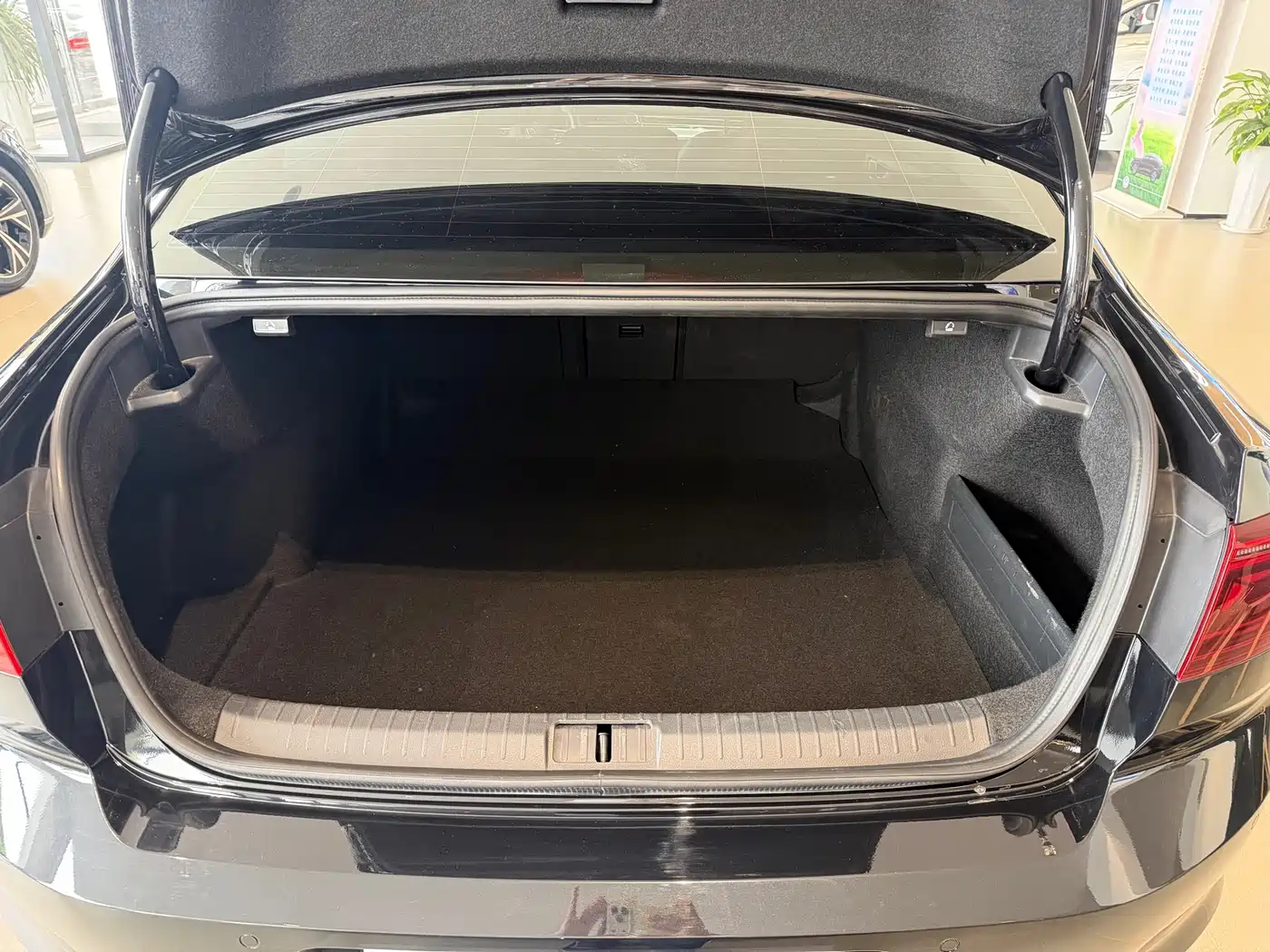 Volkswagen Magotan 2024 2 Million Units Public Sharing Edition 330TSI DSG Luxury фото 15