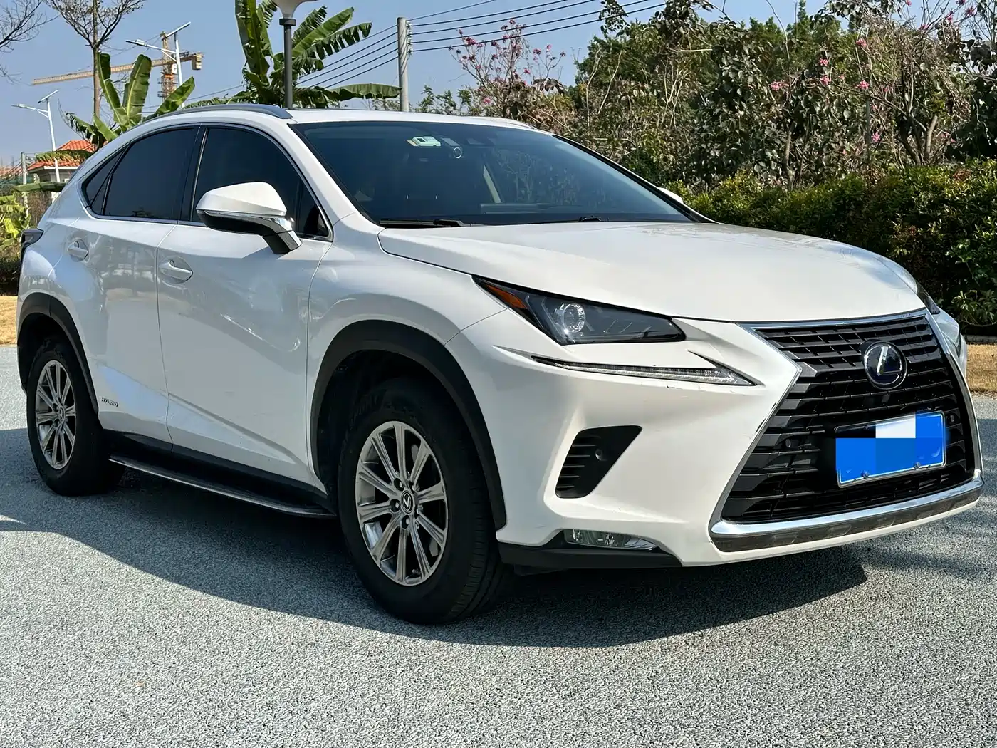 LEXUS NX