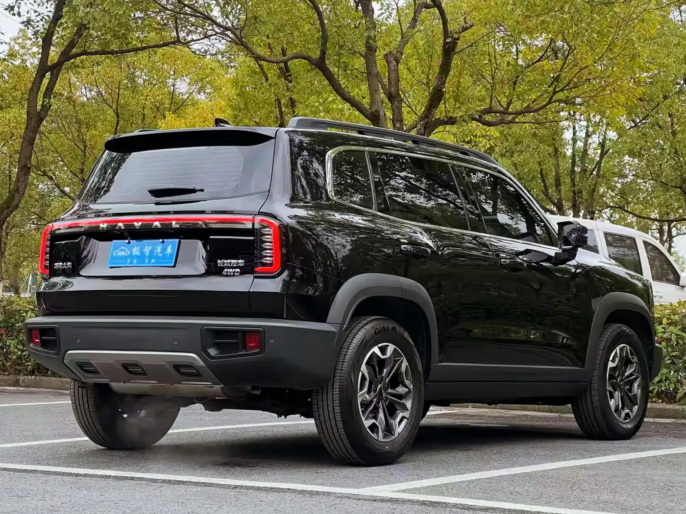 Haval Big Dog 2024 2.0T DCT Chinese Rural Dog Edition фото 5