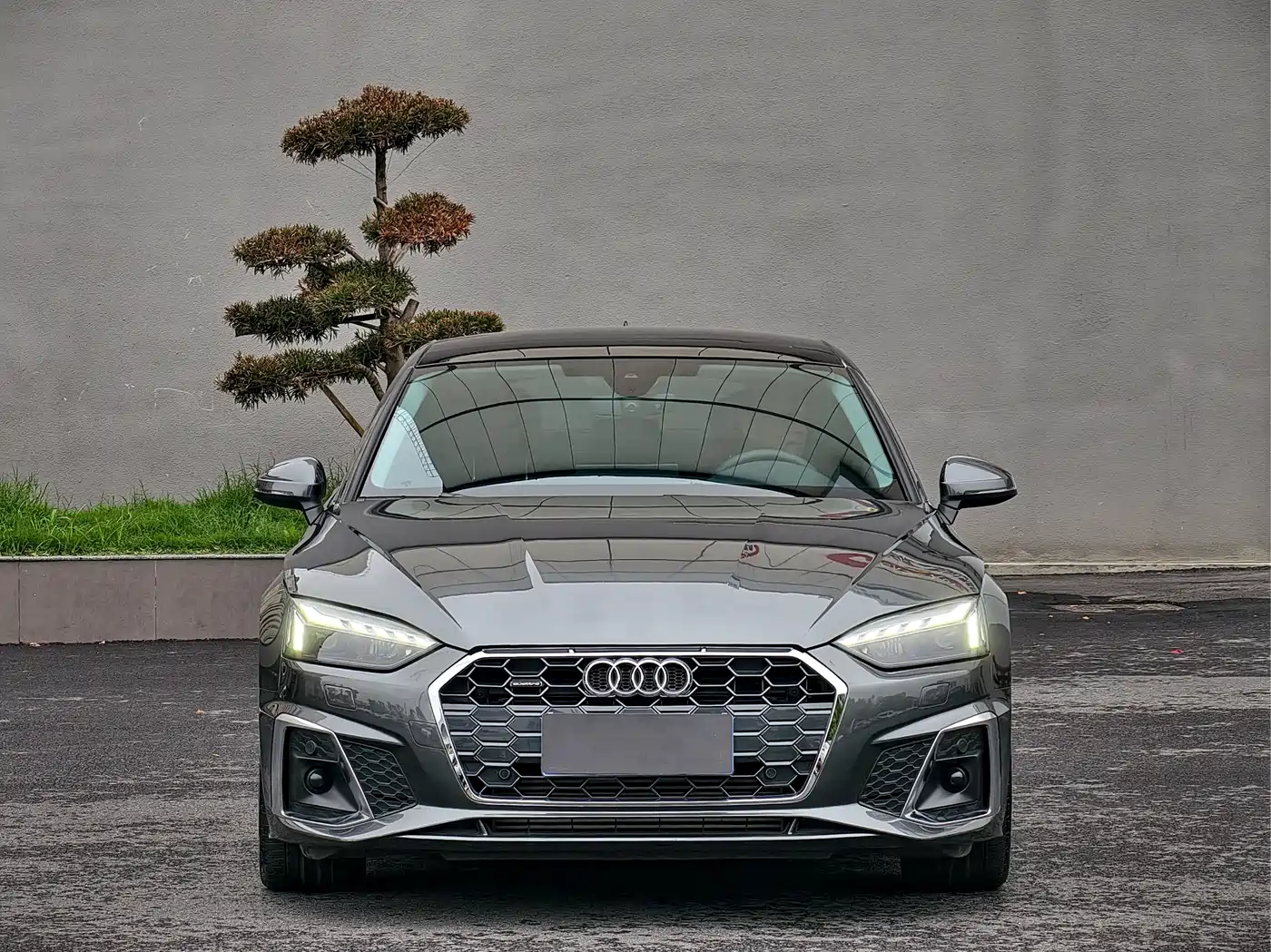Audi A5 (Import) 2024 Sportback 40 TFSI Fashion Dynamic
