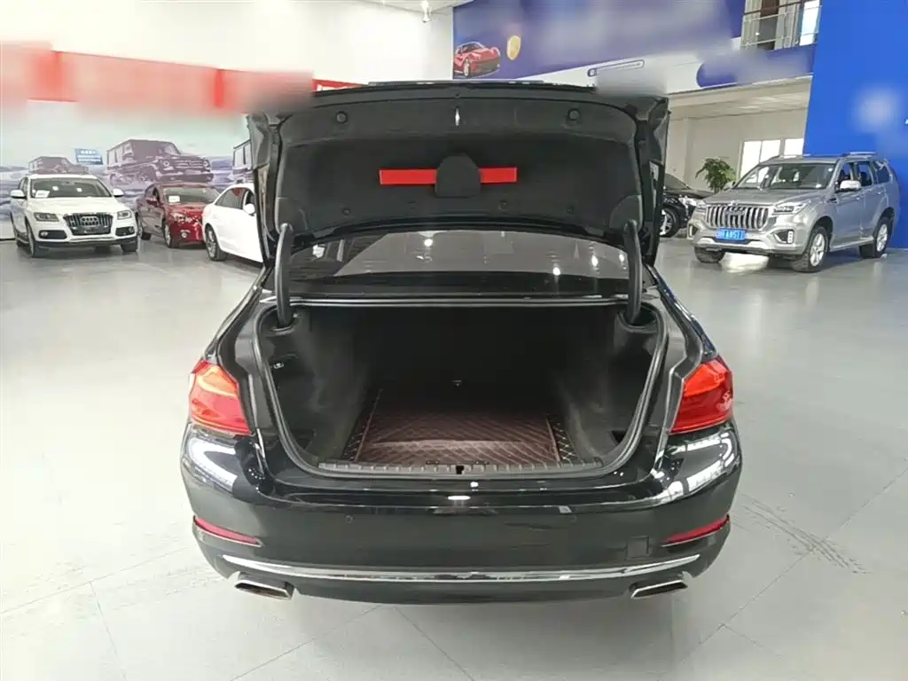BMW 5 Series 2018 525Li Luxury Package фото 19