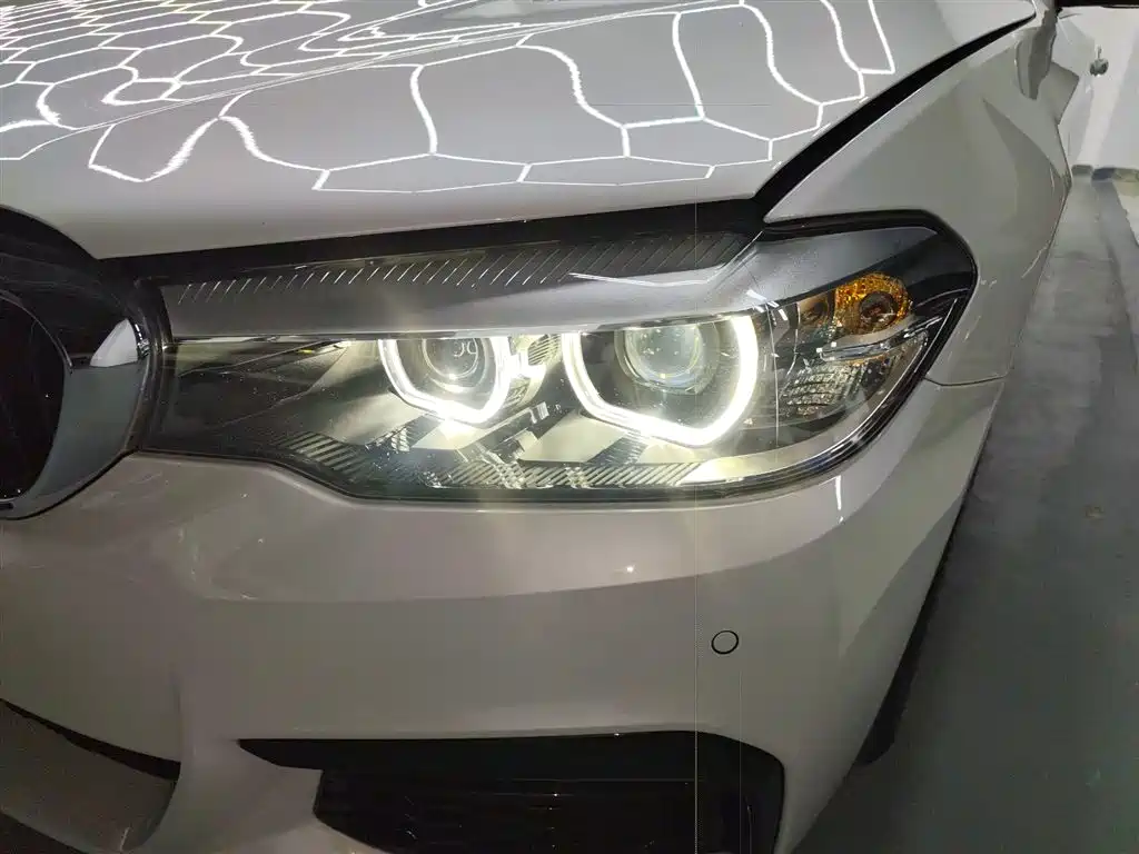 BMW 5 Series 2019 530Li Leading M Sport Package фото 24