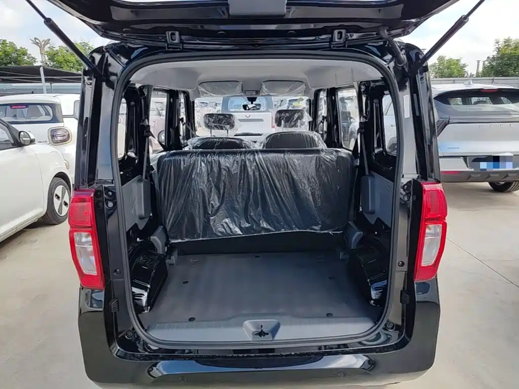 Wuling Motors Wuling Zhiguang NEV 2026 2025 Model 305km Base Version