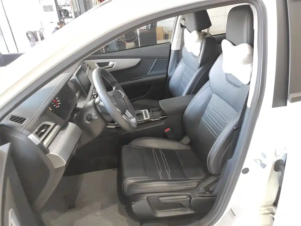 BYD Qin 2019 1.5L Automatic Luxury Edition фото 12