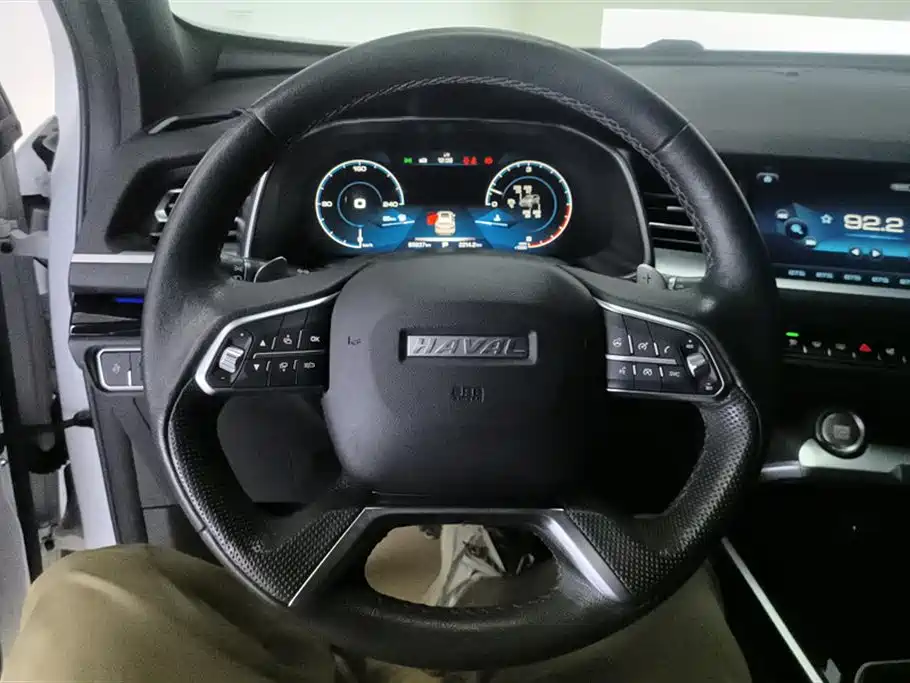 Haval H6 2017 Blue Label 2.0T Auto 2WD Leader фото 15