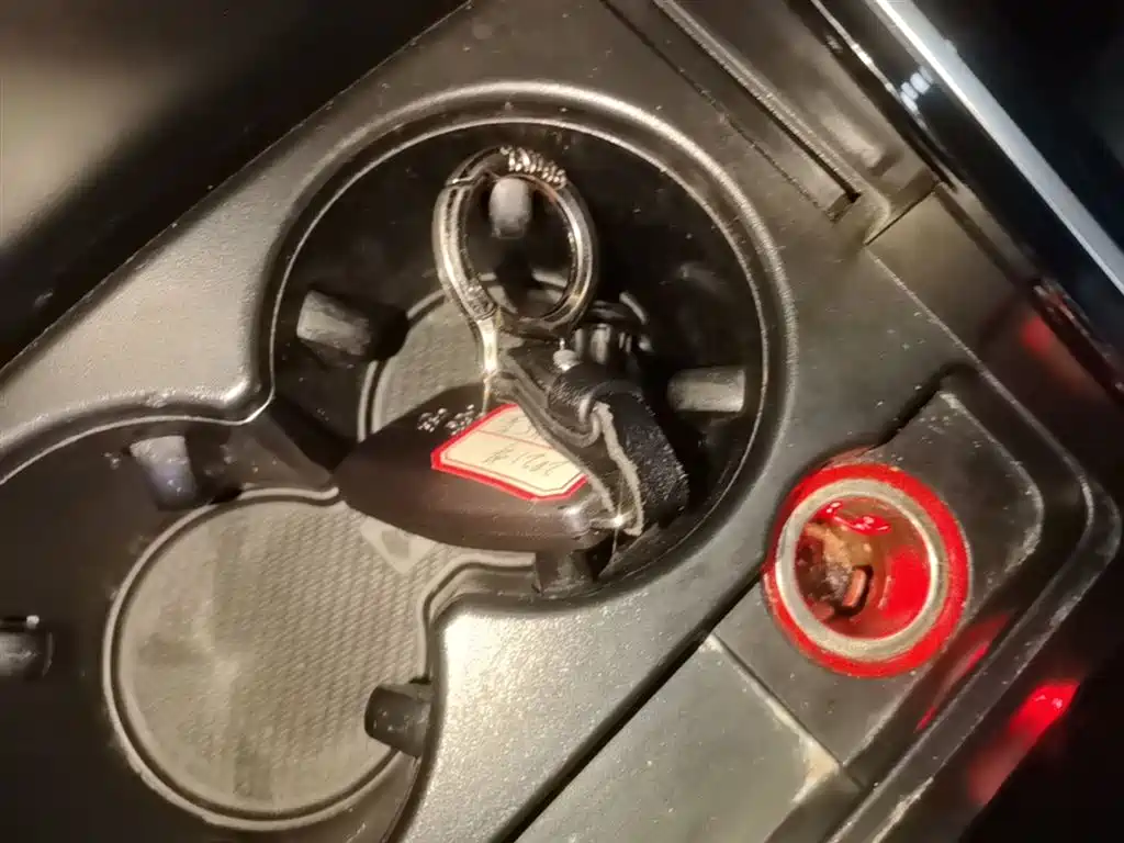 Hongqi HS5 2019 2.0T Smart Connect Enjoy 4WD Edition фото 9