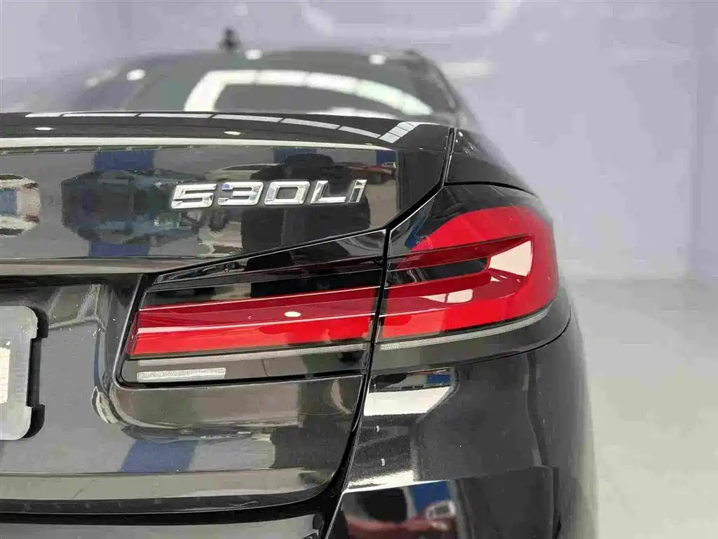 BMW 5 Series 2020 Model 530Li Executive M Sport Package фото 17