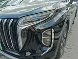 Photo 24 - Hongqi HS7 PHEV