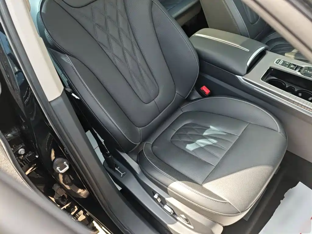 Photo 25 - Hongqi HS7 PHEV