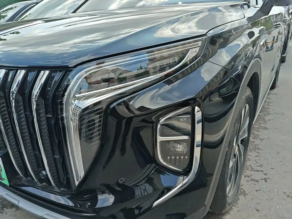 Photo 24 - Hongqi HS7 PHEV