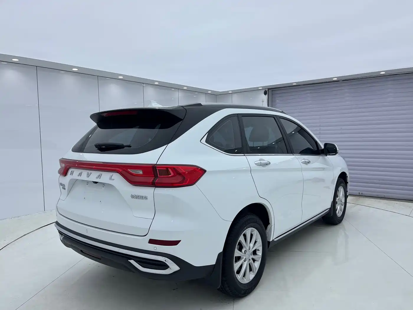 HAVAL M6