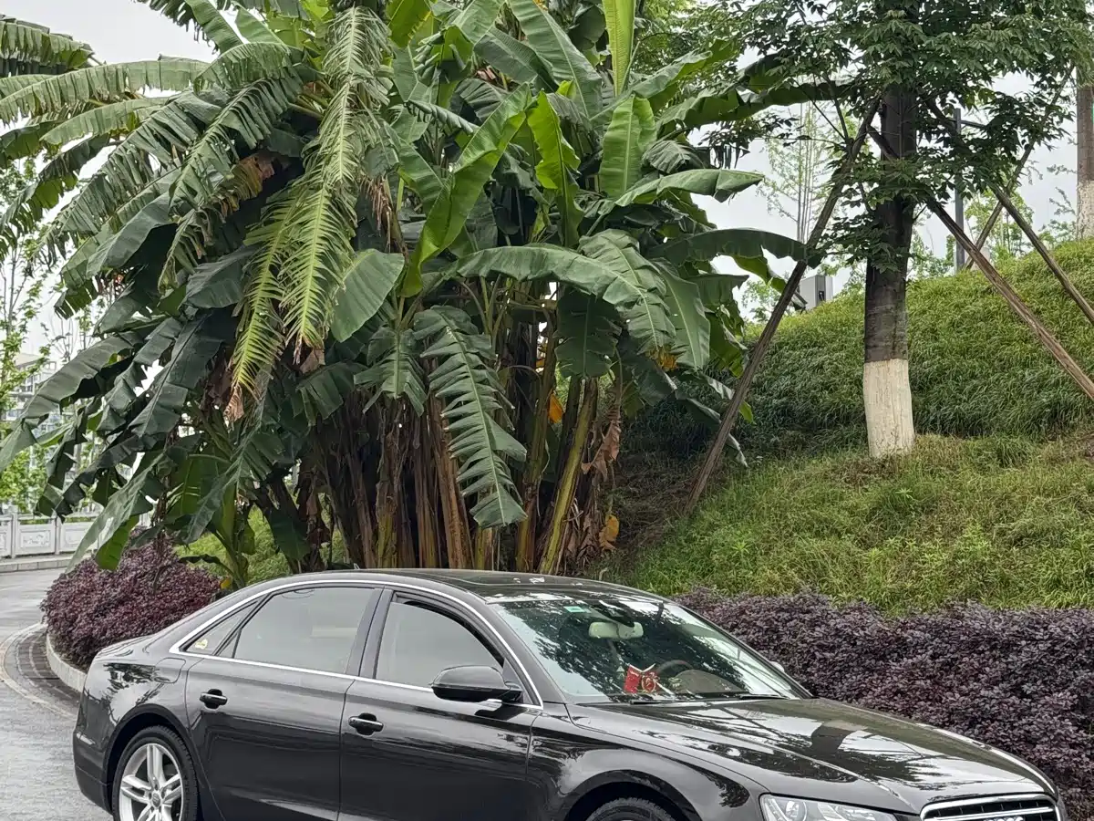 Audi A8 2013 A8L 45 TFSI quattro Exclusive фото 26