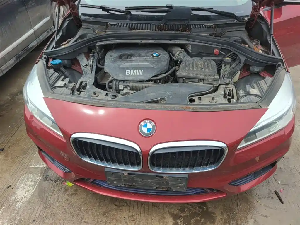 BMW 2 Series Tourer (Import) 2015 218i Sport Design Package фото 20