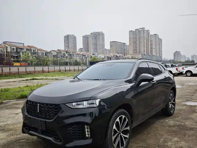 WEI PAI WEI BRAND VV7