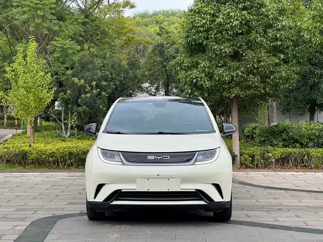BYD Dolphin 420km, Стиль