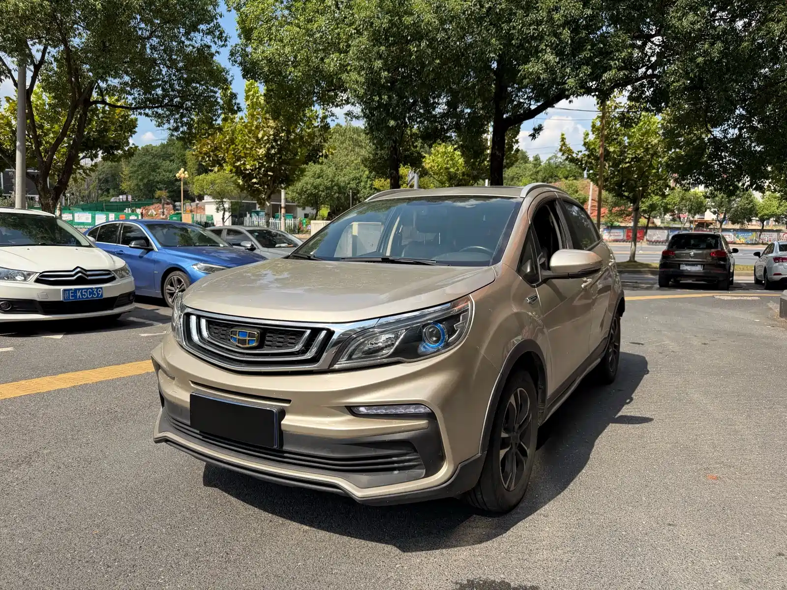 Фото 1 - Geely Vision X3