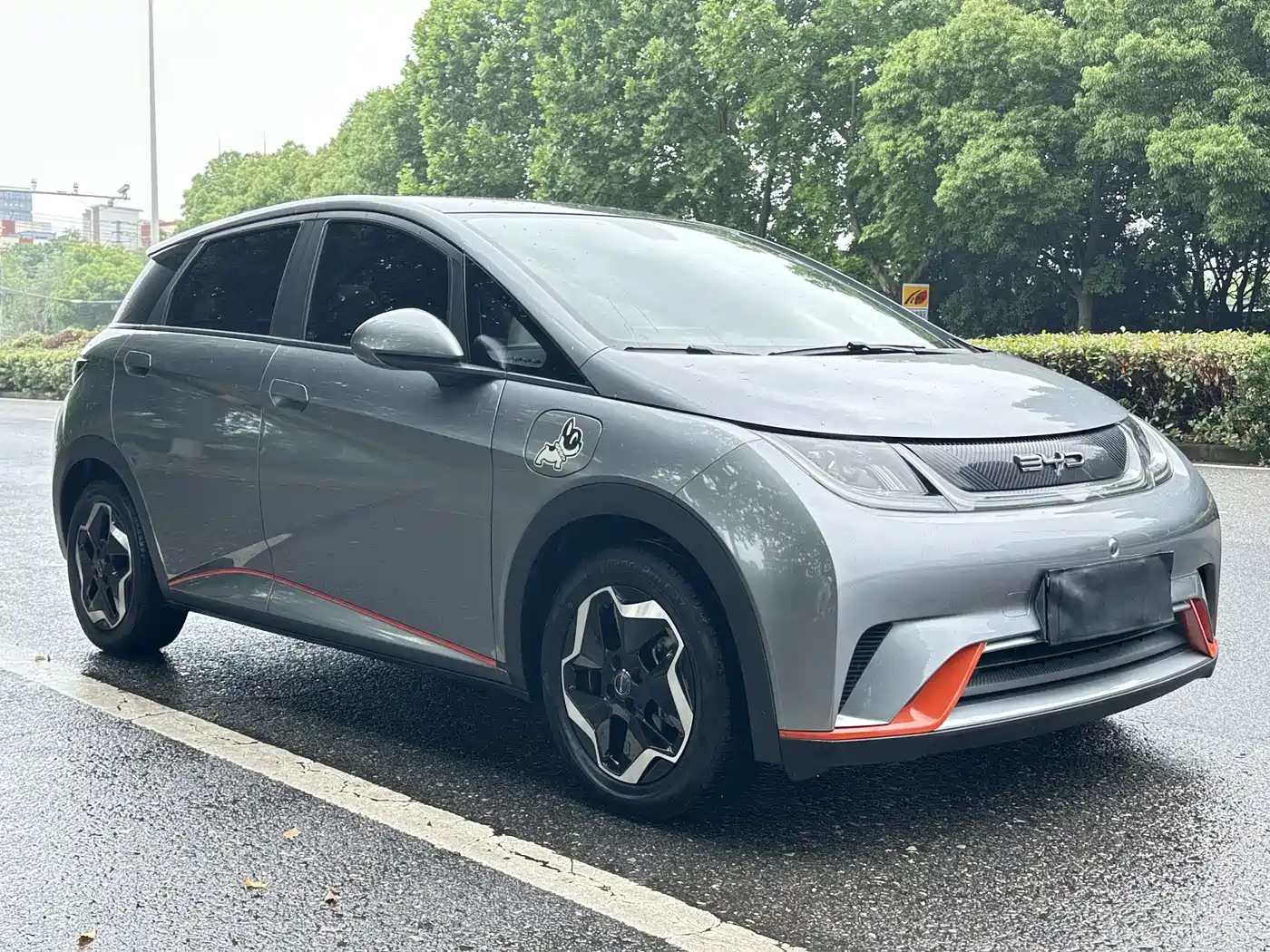 BYD Dolphin 2021 Model 405km Fashion Edition фото 14