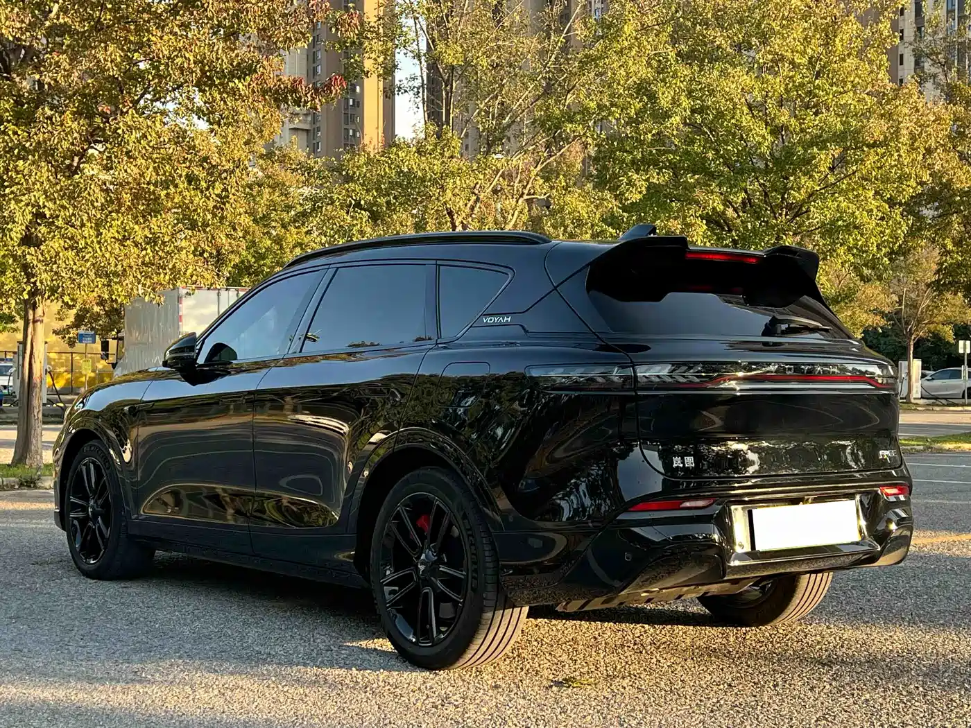 Voyah Auto VOYAH FREE 2025 318 318km RWD Touring Edition фото 17