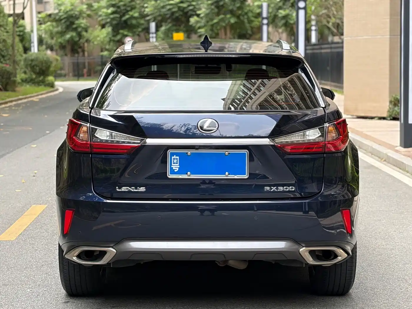 LEXUS RX