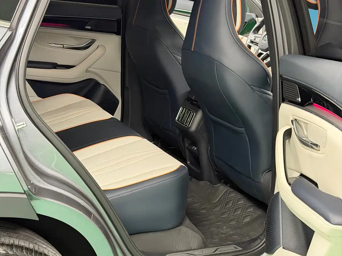 BYD SONGJIANG NEW ENERGY