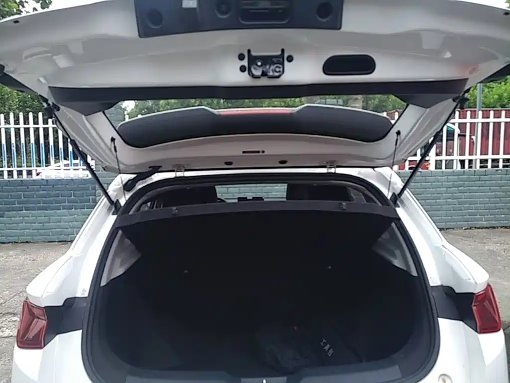 BYD e2 2021 2020 Upgraded Standard Range Comfort