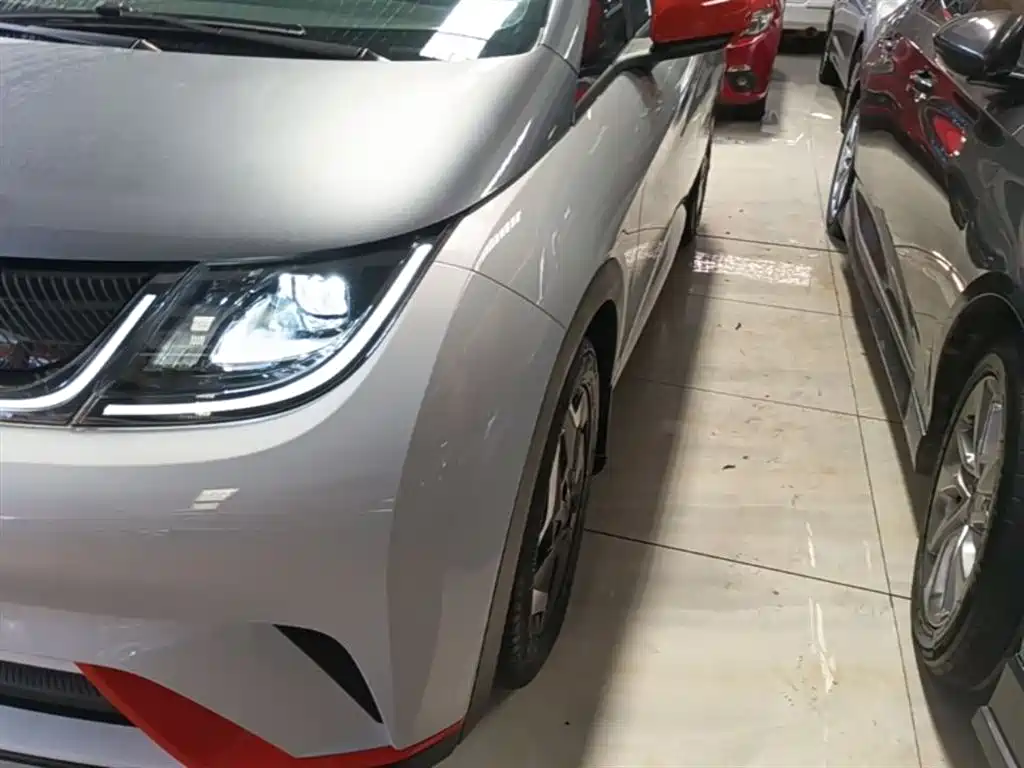 BYD Dolphin 2021 Model 405km Fashion Edition фото 24
