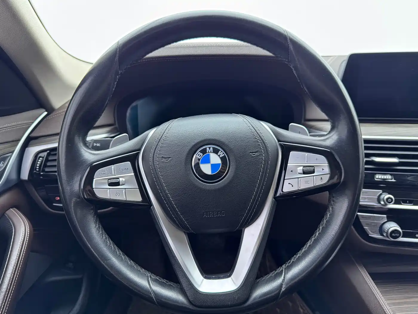 BMW 5 Series 2020 530Li Leading Luxury Package фото 12