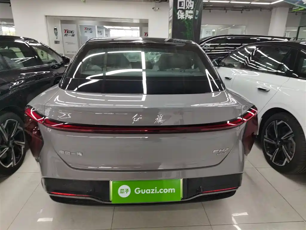Hongqi EH7 2024 640 Pro+ AWD Edition фото 6