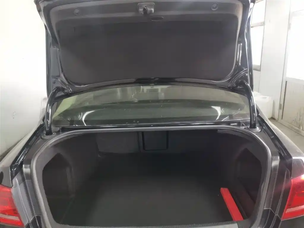 Volkswagen Magotan 2016 1.8TSI Smart Comfort фото 19