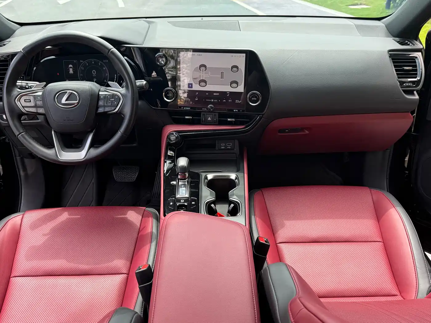 LEXUS NX