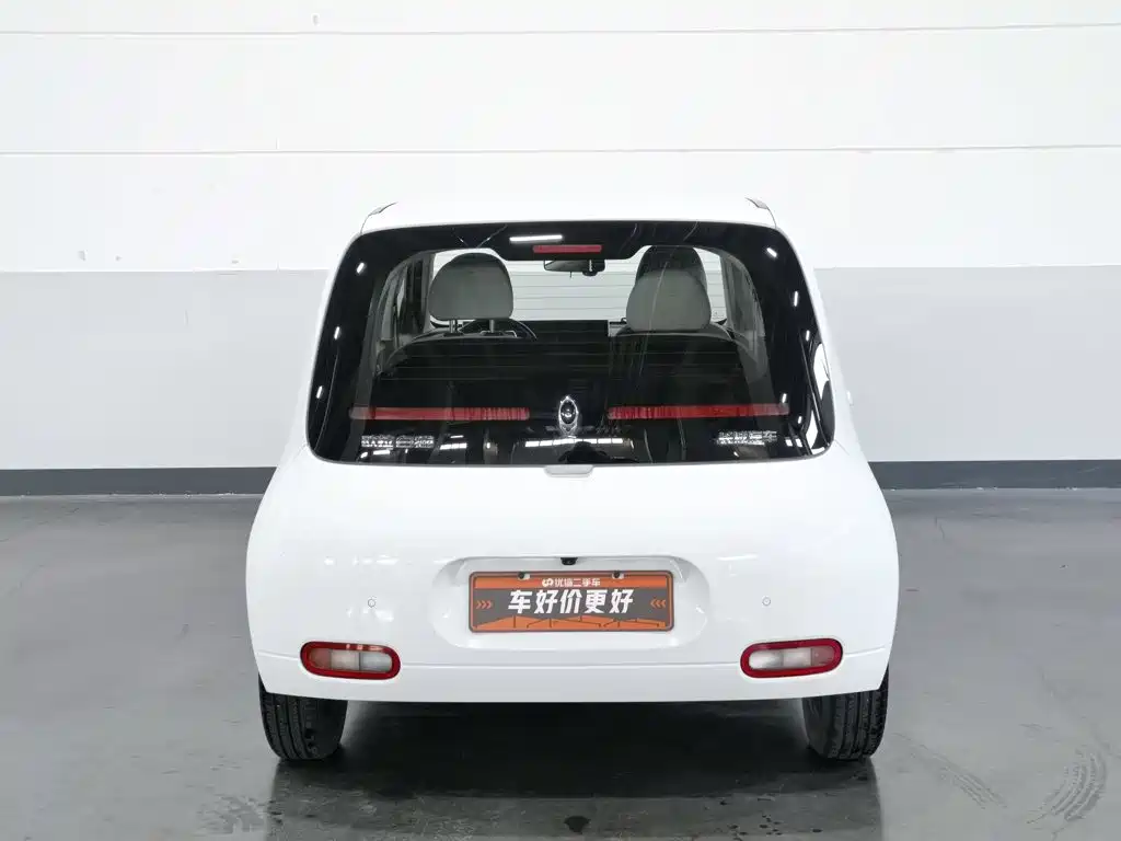 Ora White Cat 2021 2020 360km Luxury Model