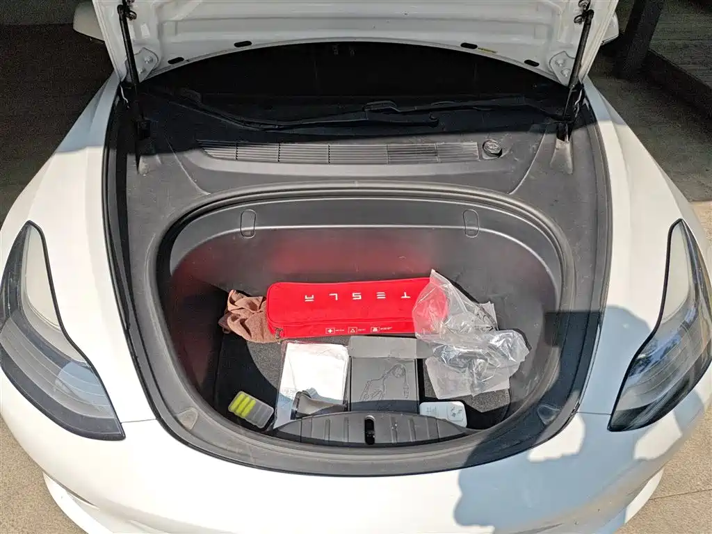 TESLA MODEL 3 (IMPORTED)