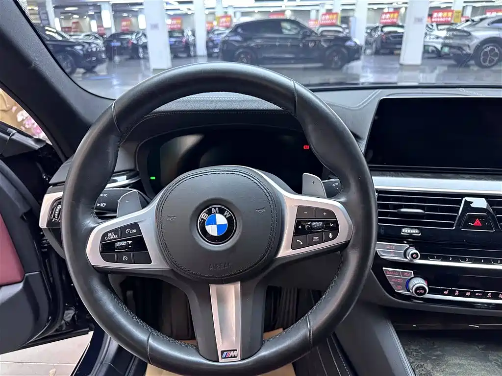 BMW 5 Series 2020 530Li Leading M Sport Package фото 10