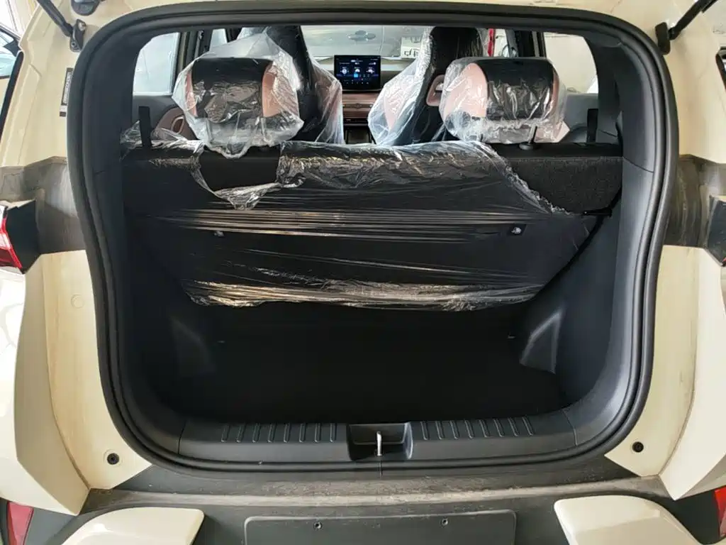 BYD Seagull 2026 2025 Smart Drive Edition 305km Vitality Version