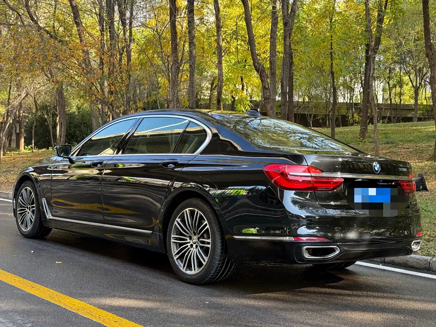 BMW 7 Series 2016 730Li Leading фото 5