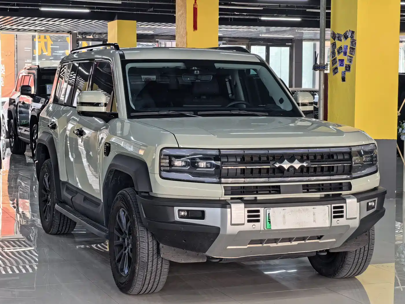 FANG CHENG BAO LEOPARD 5