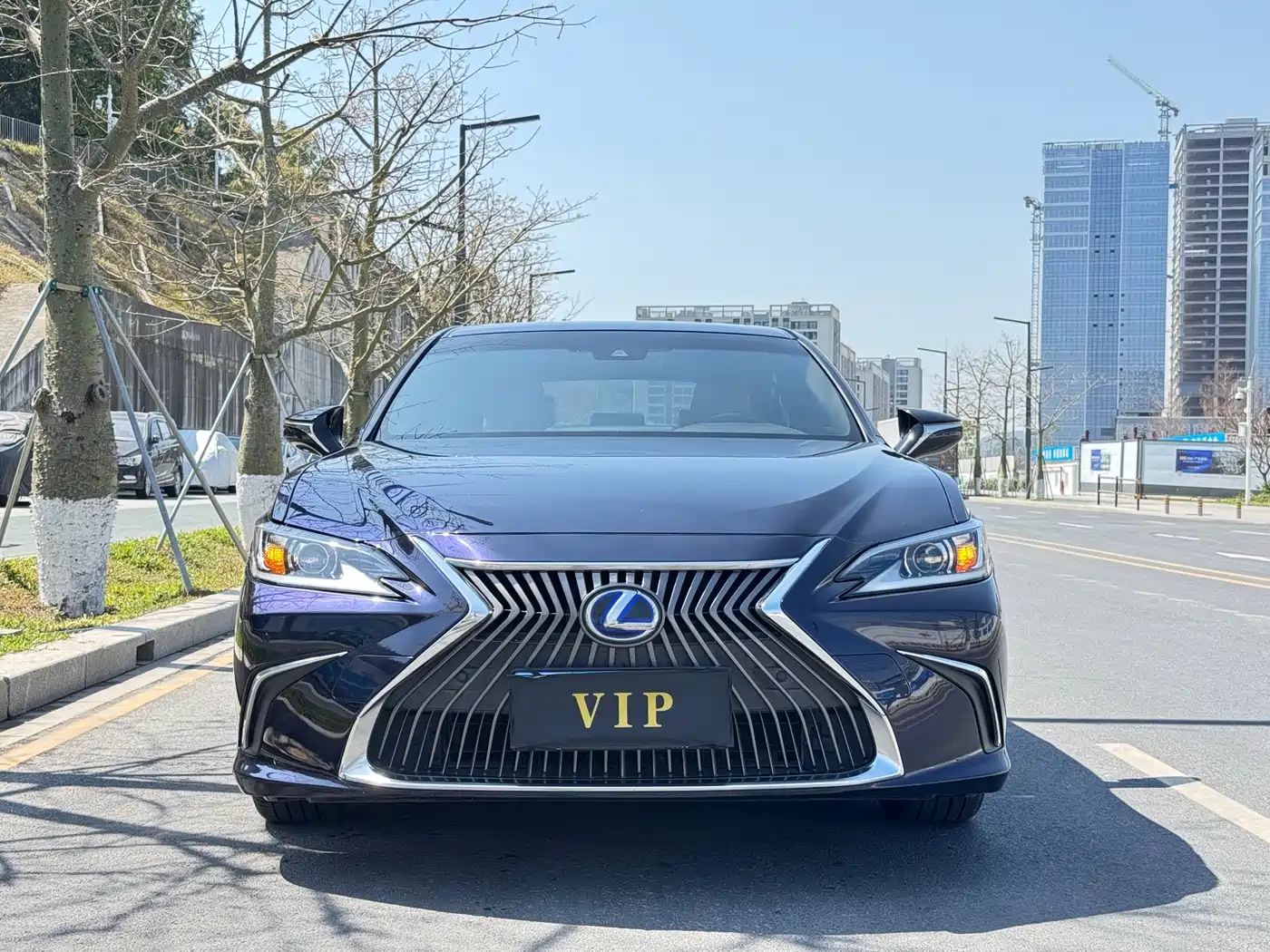 Lexus ES 2020 Model 300h Excellence Edition China V фото 2