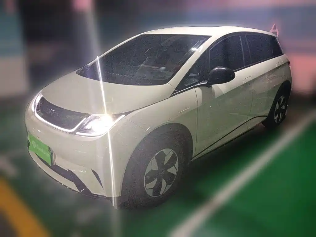BYD Dolphin 2025 420km Freedom Edition