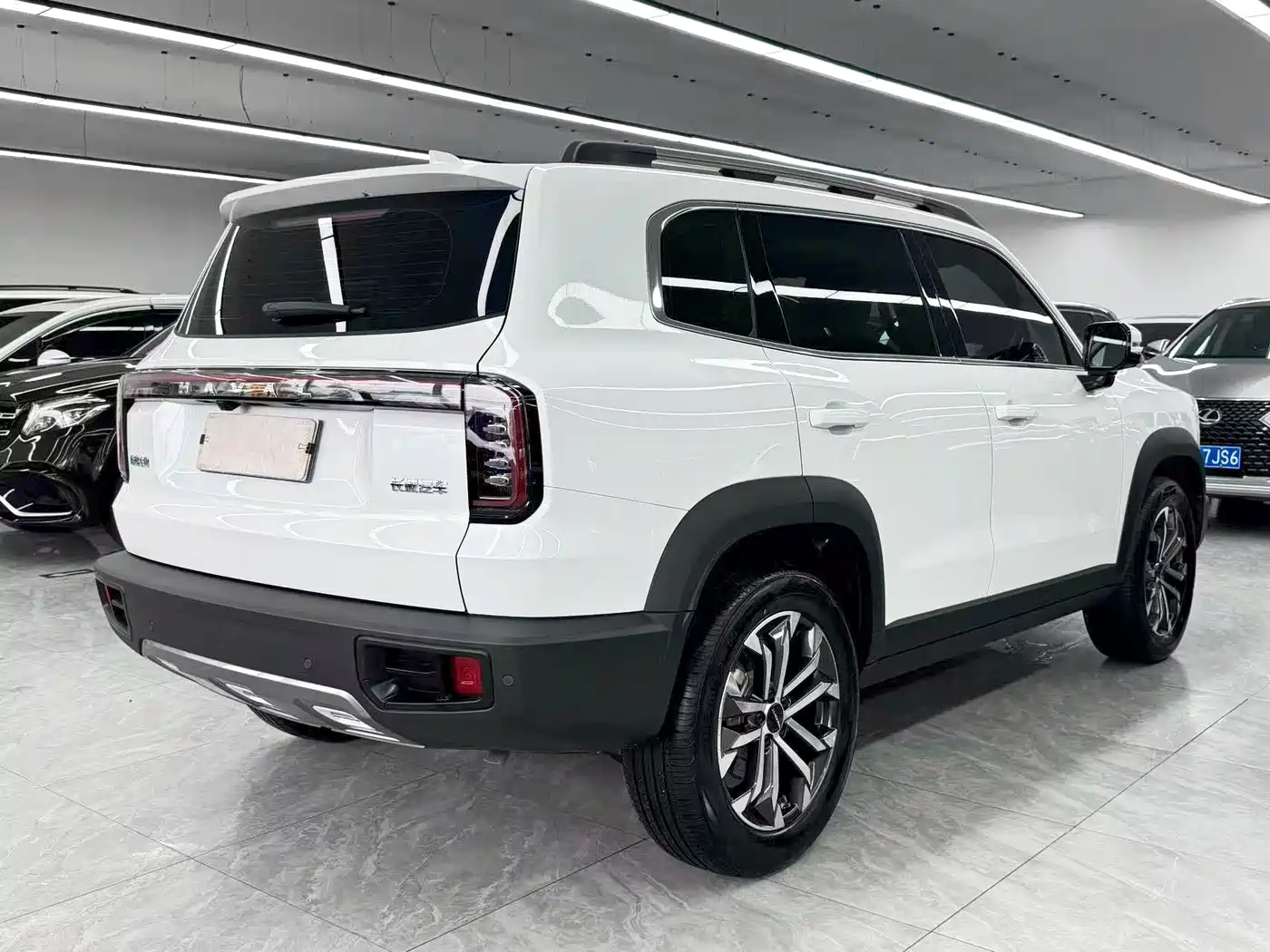 Haval Big Dog 2025 2024 1.5T DCT Border Collie Edition