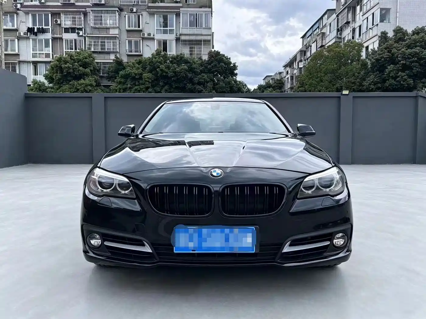 BMW 5 Series 2014 520Li Elegance фото 2