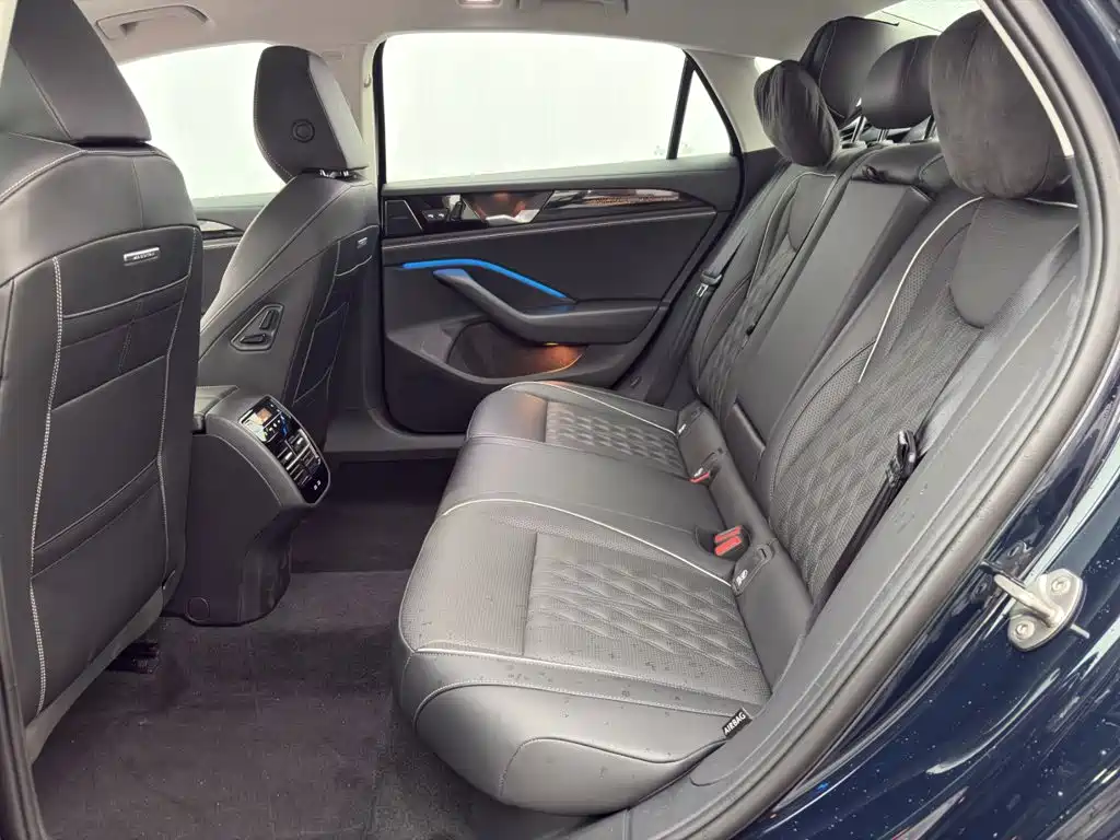 Volkswagen Magotan 2025 2024 380TSI DSG Ultimate Edition