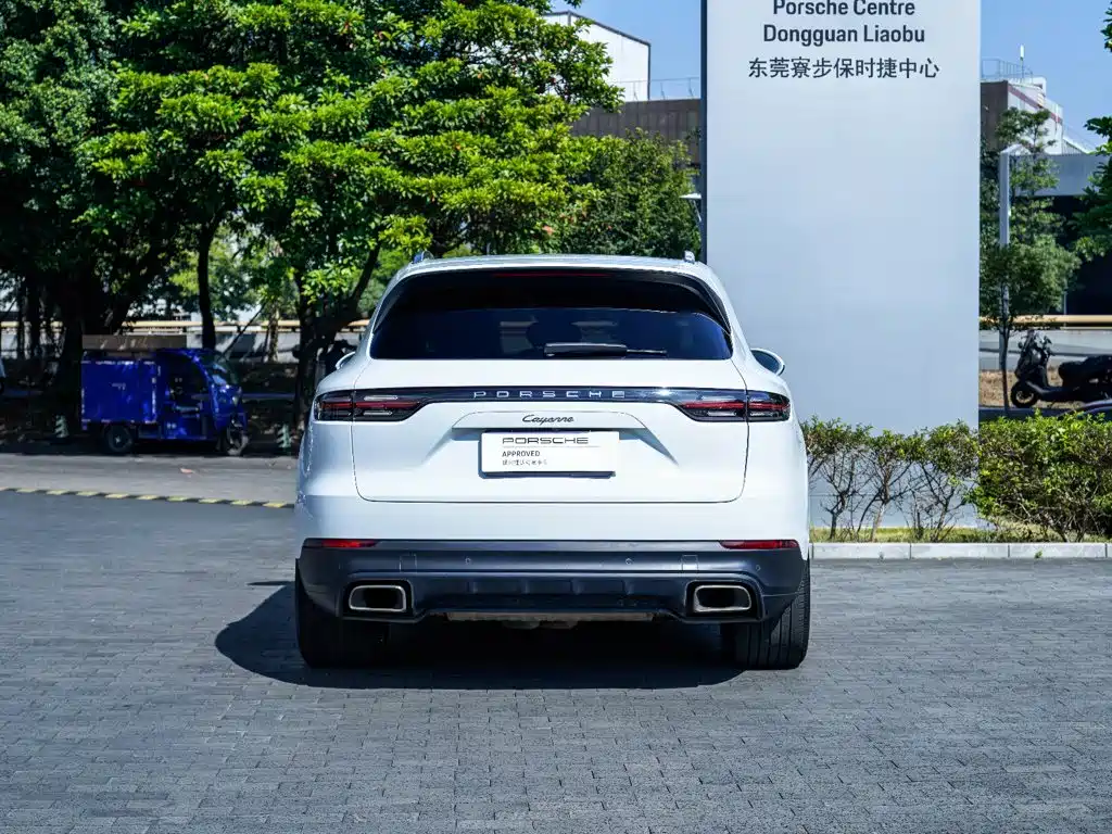 صورة 14 - Porsche Cayenne