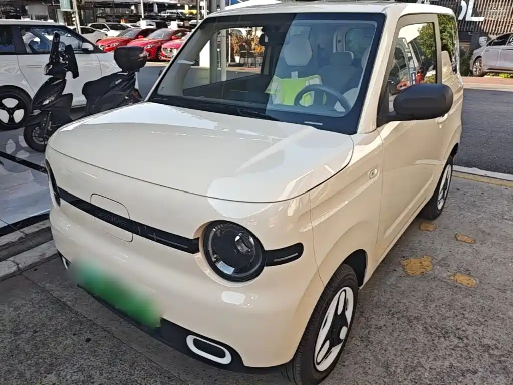 Geely Galaxy Panda 2026 2025 Panda mini 210km Vitality Bear