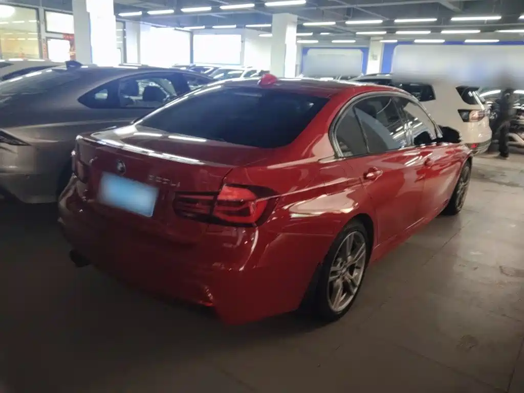 BMW 3 Series 2019 320Li M Sport Black Night Edition фото 5